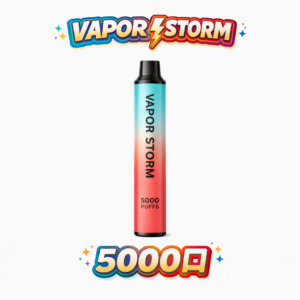 VAPOR STORM 風暴 5000抽 拋棄式主機 650mAh 長效續航 10ml 不掉味存量 Type-C 快速充電 台灣現貨